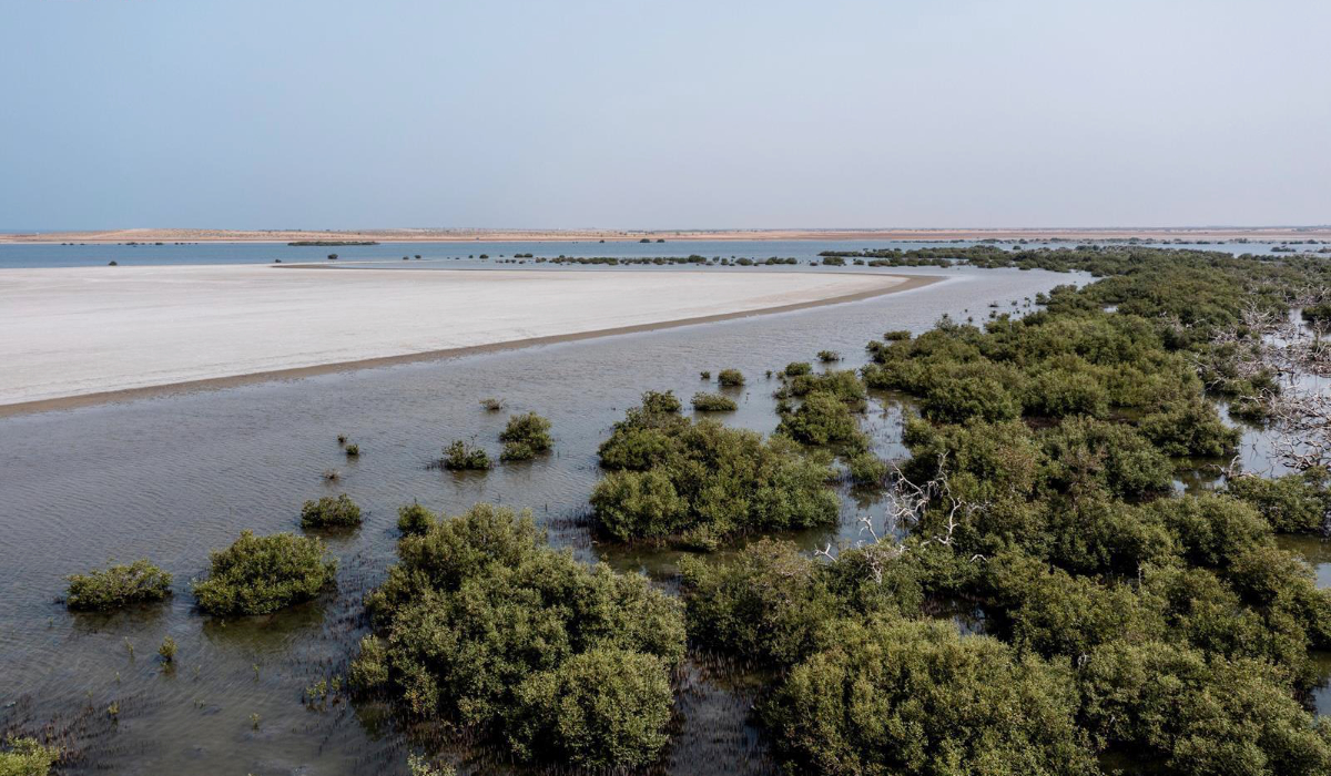 Business Activities Agriculture, Forestry and Fishing in Saudi Arabia