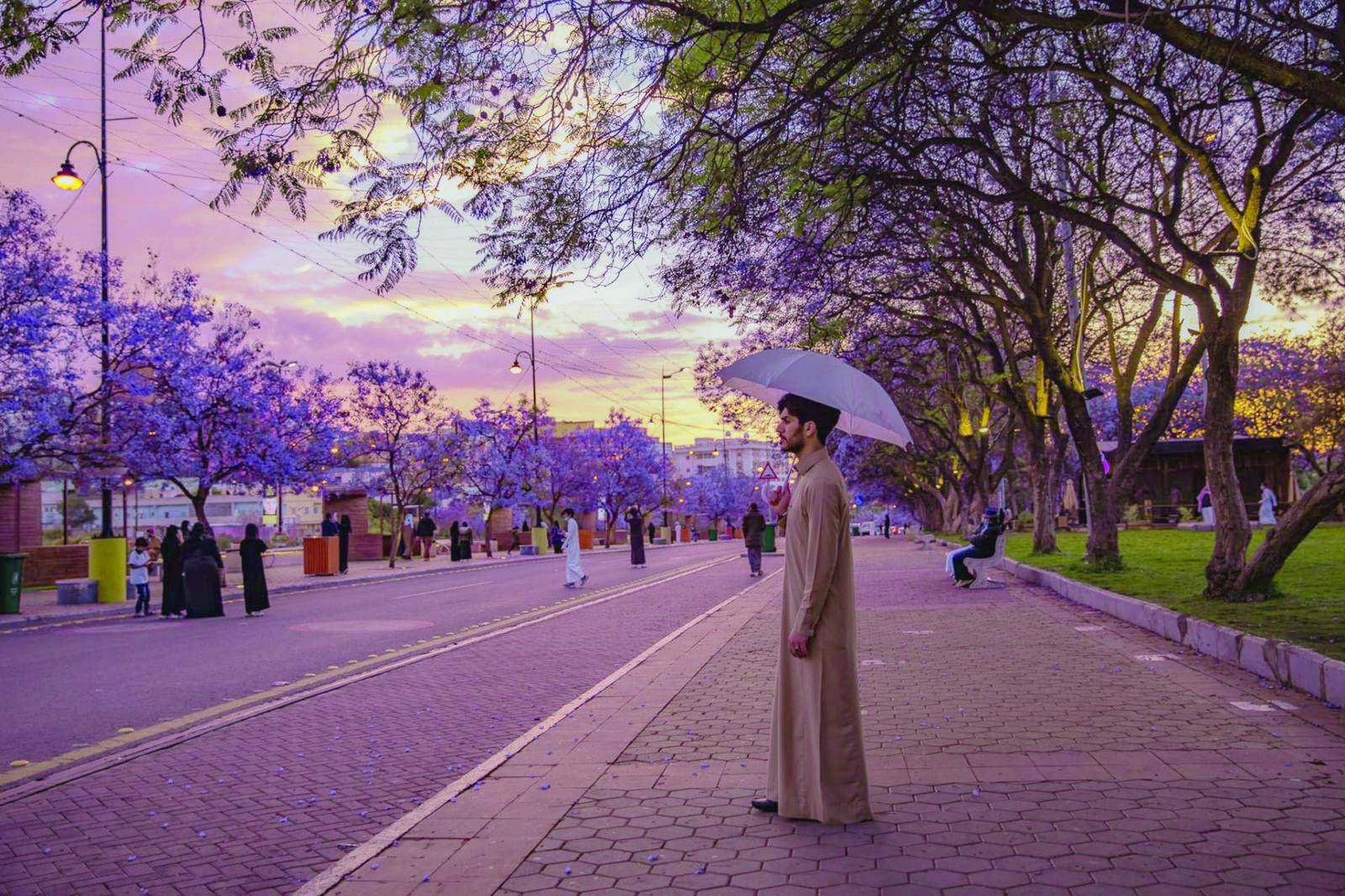 Life in Saudi Arabia