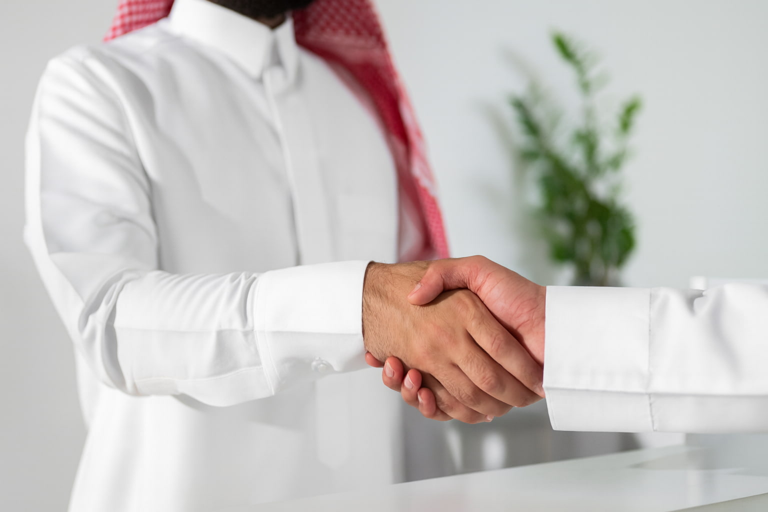 set up company in saudi arabia